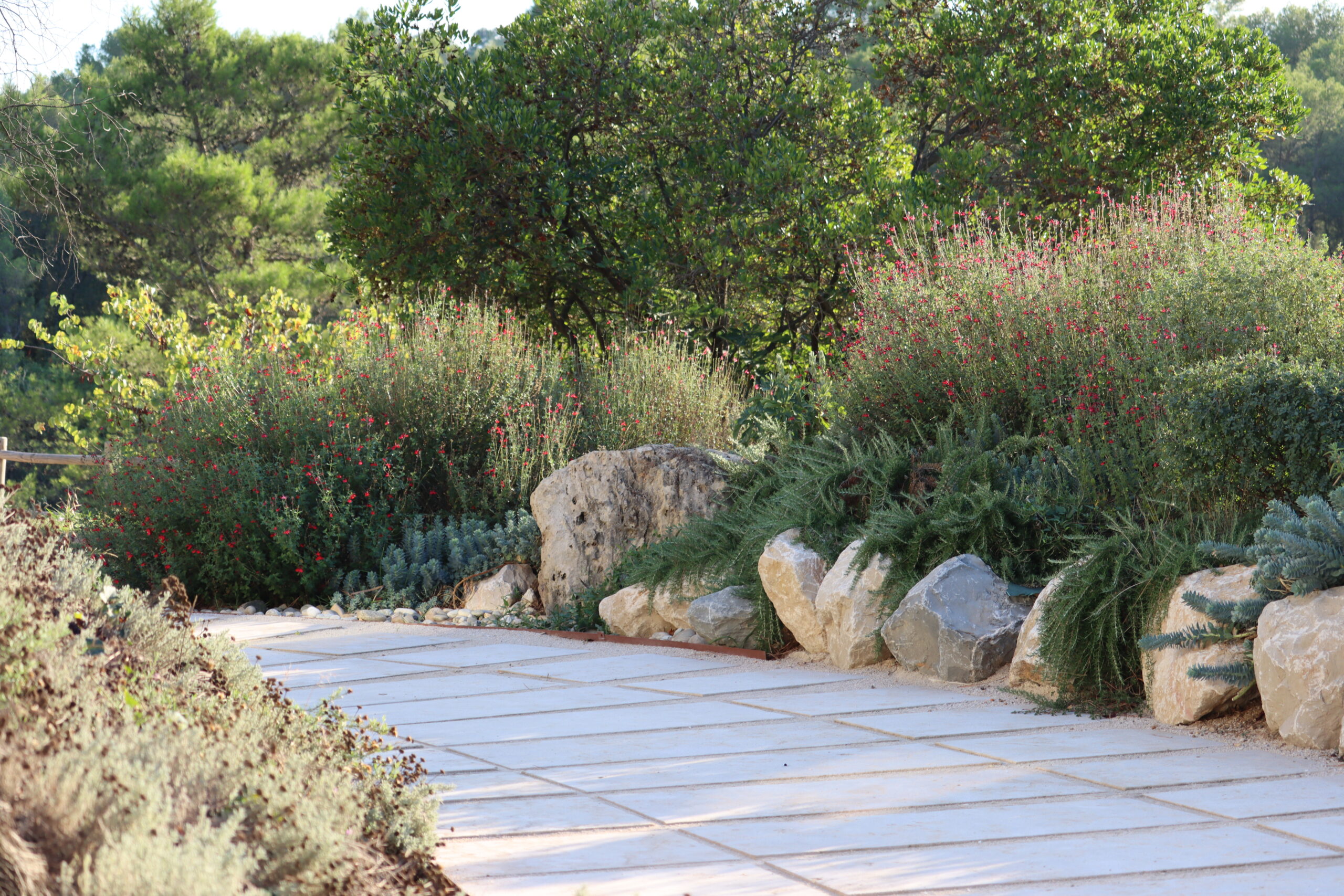 allée de jardin aménagée avec pierre et verdure