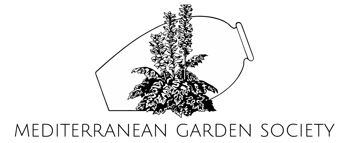 logo mediterranean garden society png