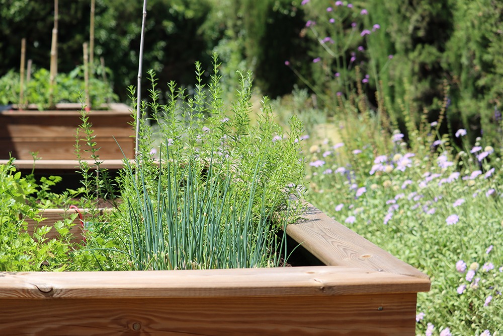 Entretien de jardin Montpellier