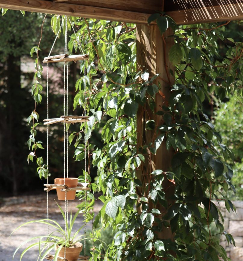 Pergola en bois avec plantes tombantes