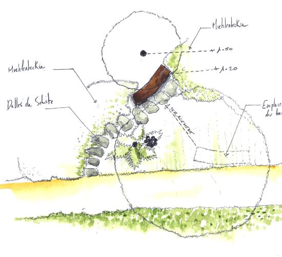Plan vue du dessus dun aménagement de jardin