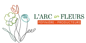 logo-transparent-horizontal.png